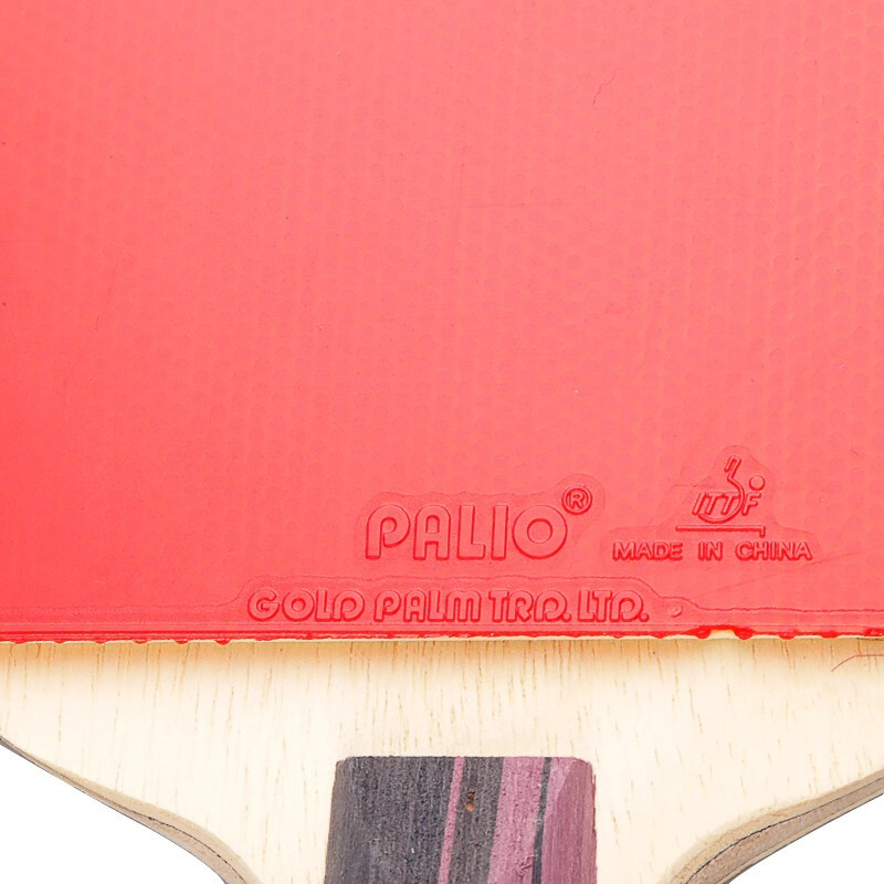 Originele PALIO 3 Sterren Carb - Table Tennis Kit Bag recensie en prijs