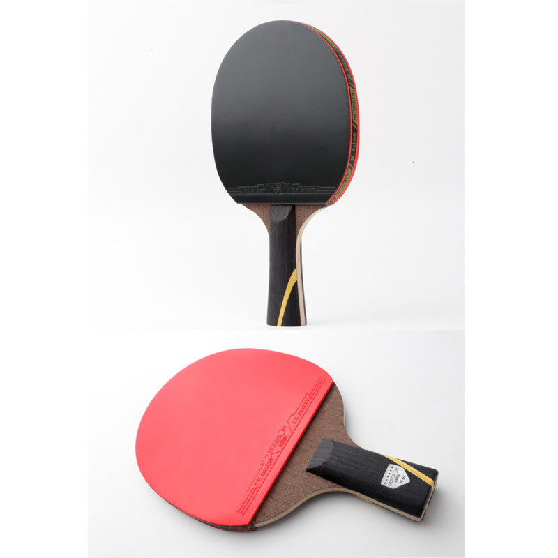 Huieson 6 Ster Verbeterde Tafe - Table Tennis Xiom recensie en prijs