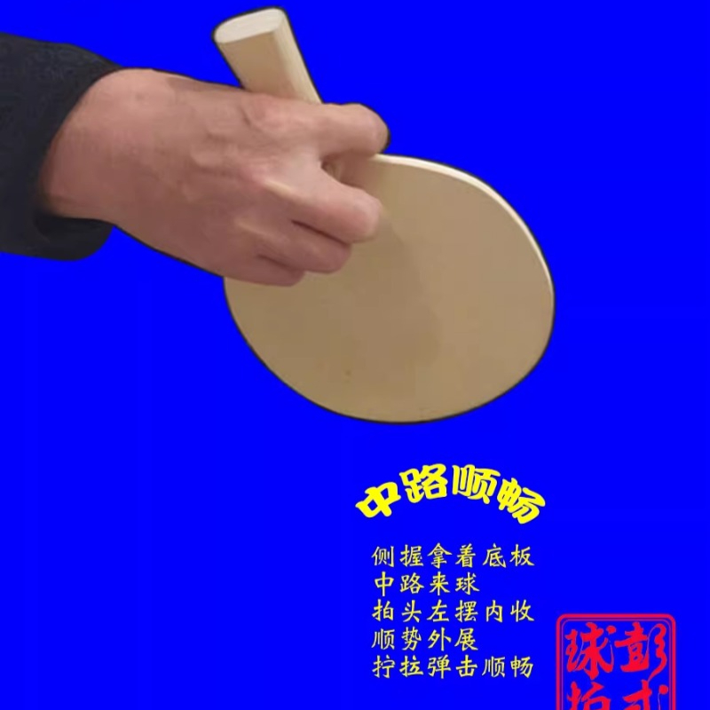 Chinese/Japanse Stijl Tafelten - Table Tennis Xiom recensie en prijs
